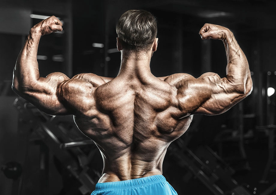 bodybuilding posing - the pro fit posing
